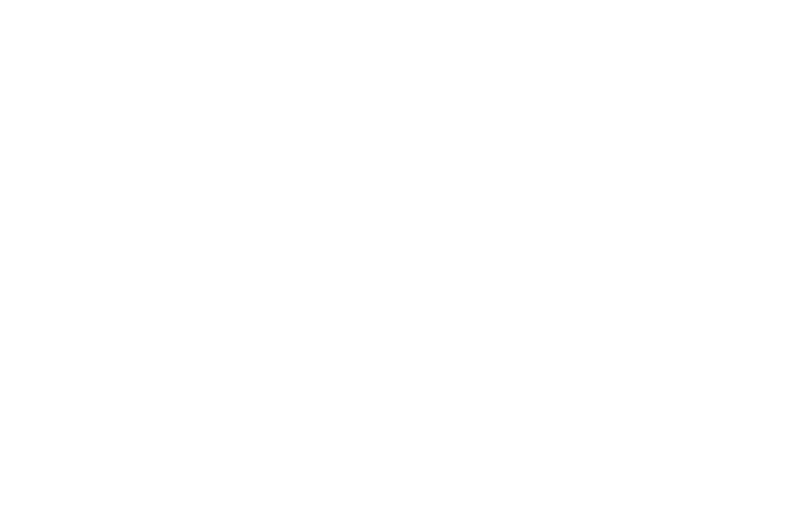 conduit logo